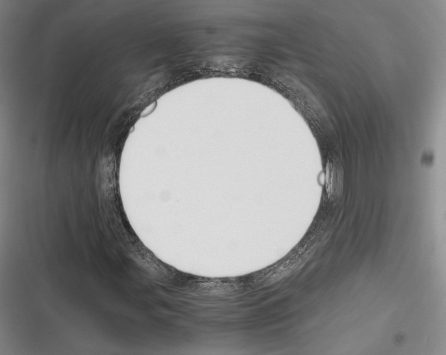 X0000116271107201001111008