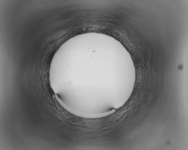 X0000116271109201001111008