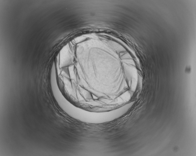 X0000116271110201001111008
