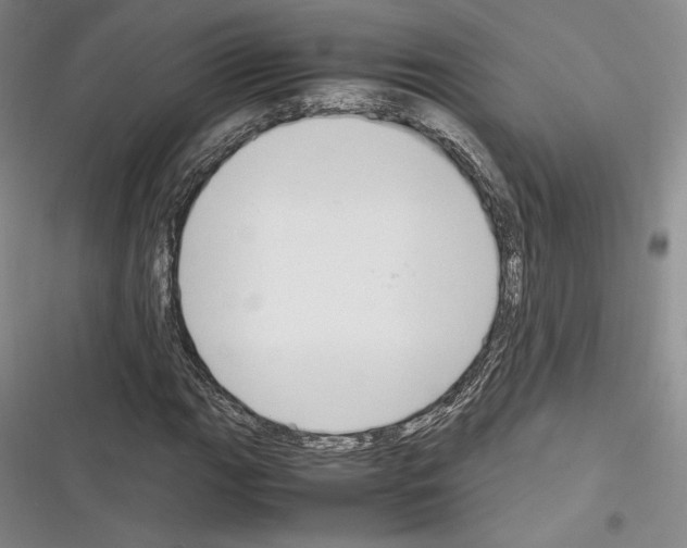 X0000116271111201001111008