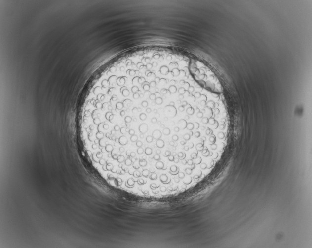 X0000116271113201001111008