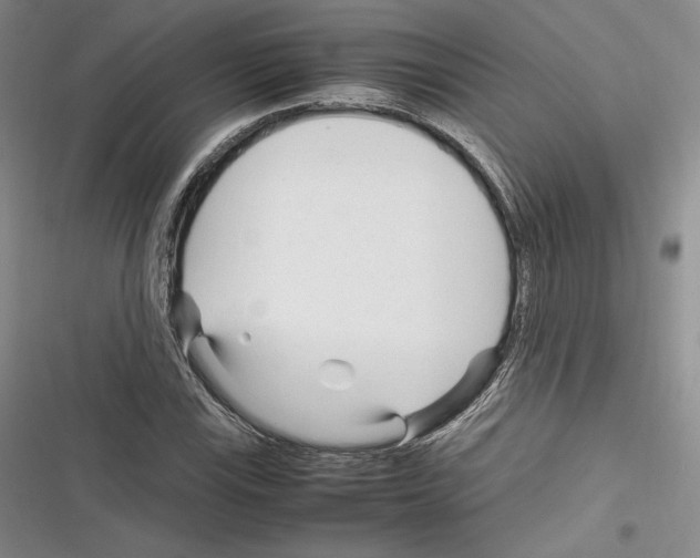 X0000116271115201001111008