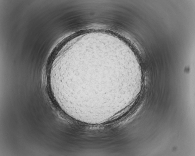 X0000116271117201001111008