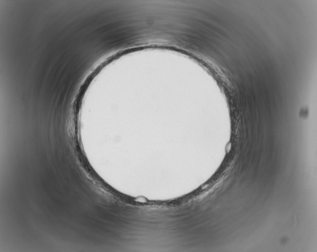 X0000116271118201001111009