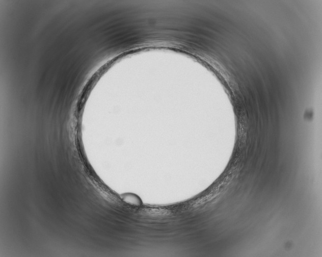 X0000116271119201001111009