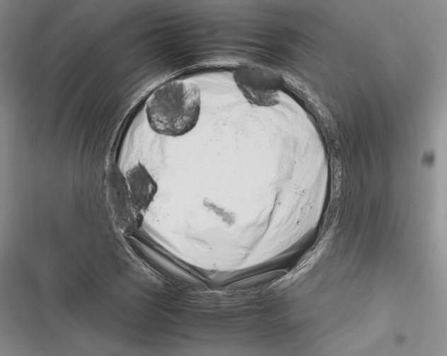 X0000116271121201001111009