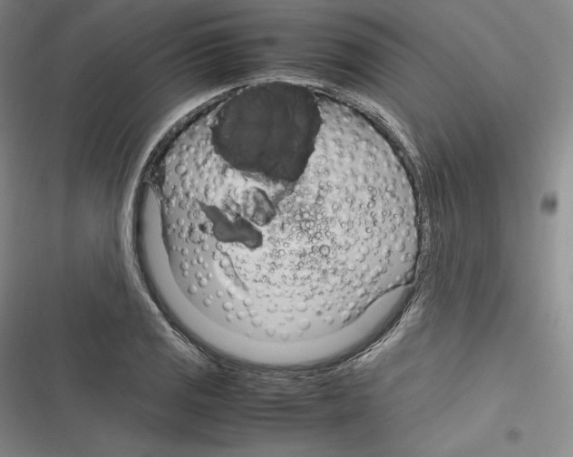 X0000116271125201001111009