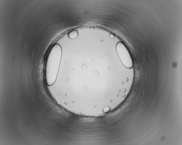 X0000116271126201001111009