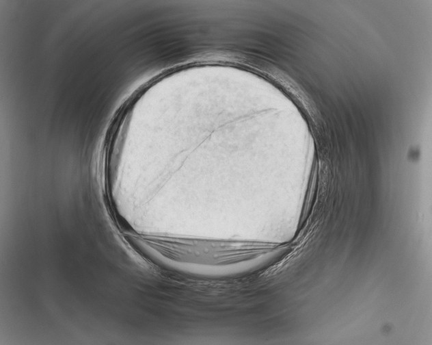 X0000116271127201001111009