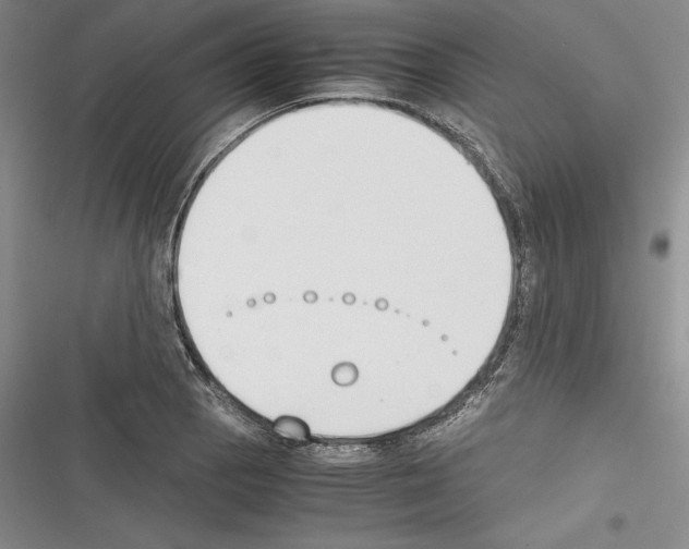 X0000116271129201001111009