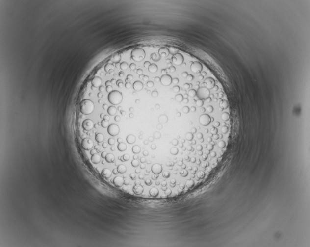 X0000116271130201001111009