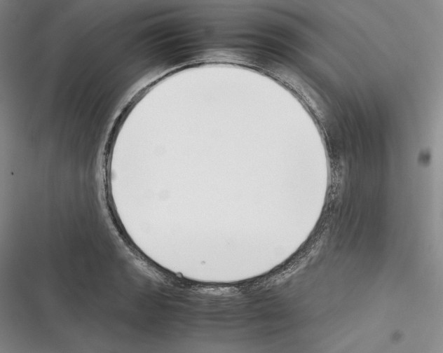 X0000116271133201001111009