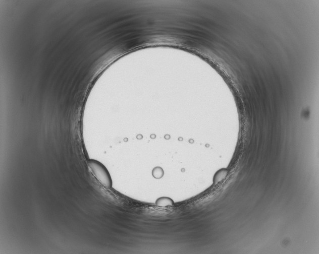 X0000116271137201001111009