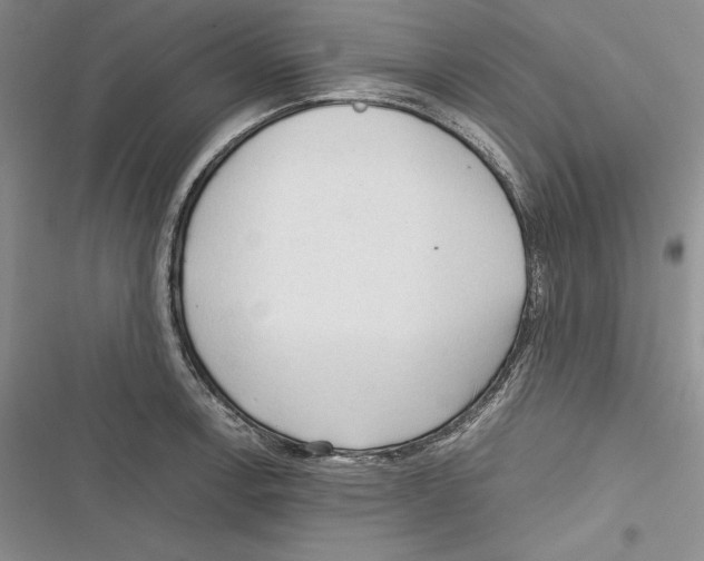 X0000116271138201001111009