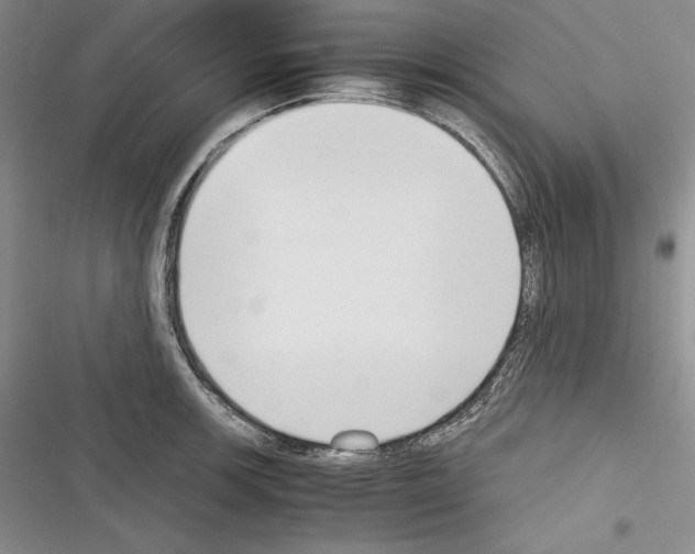 X0000116271139201001111009