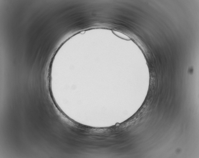 X0000116271143201001111009