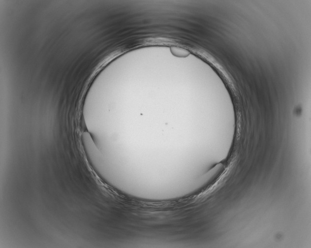 X0000116271145201001111009