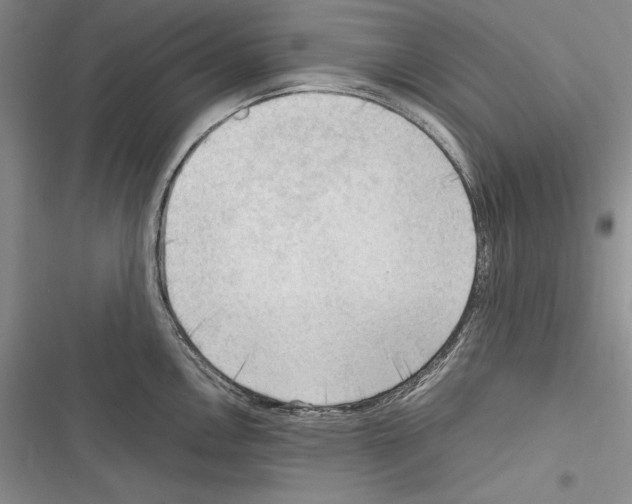 X0000116271146201001111009