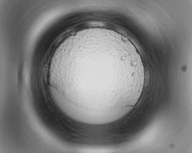 X0000116271151201001111009