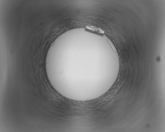 X0000116271153201001111008