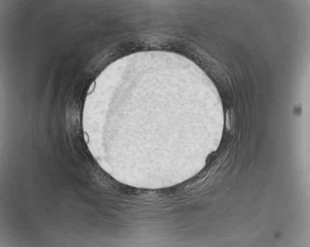 X0000116271155201001111008