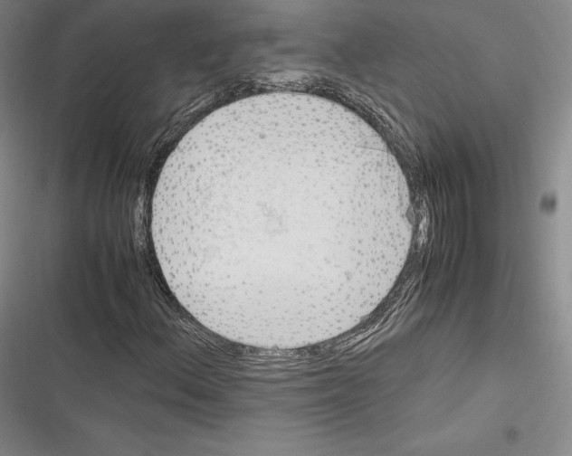 X0000116271156201001111008