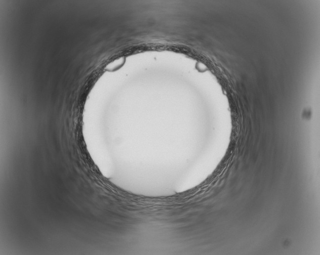 X0000116271157201001111008