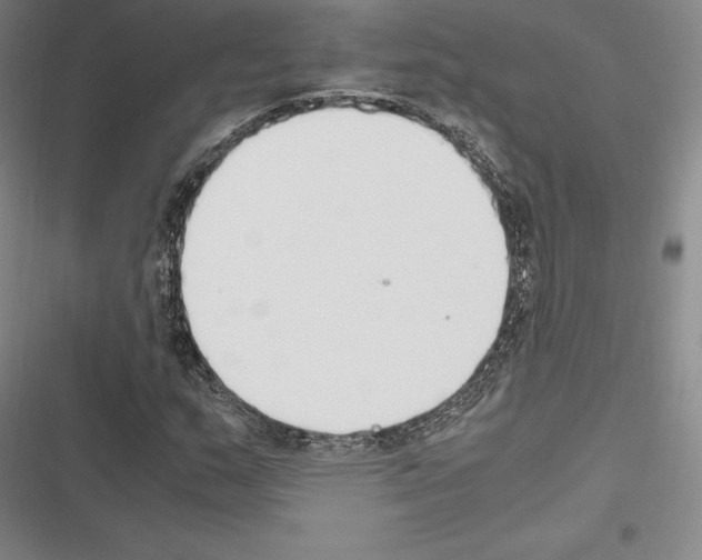 X0000116271159201001111008
