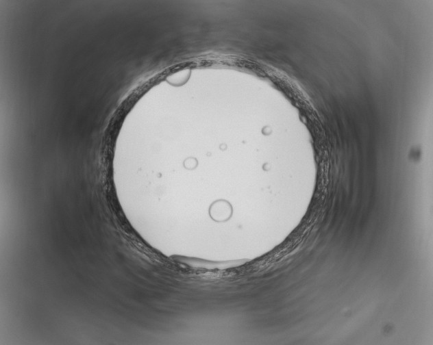 X0000116271160201001111008