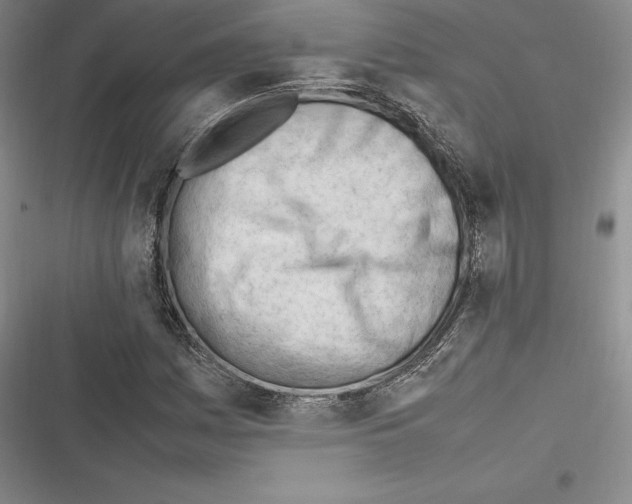X0000116271161201001111008