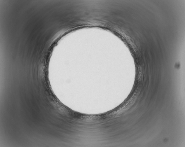 X0000116271163201001111008