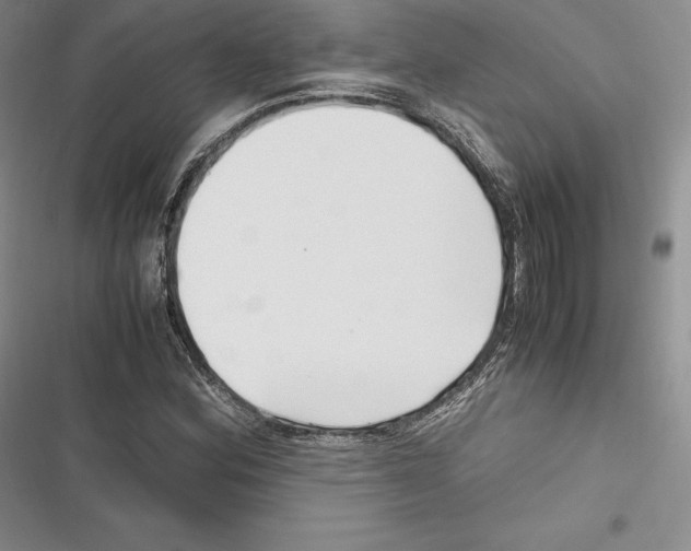 X0000116271164201001111008