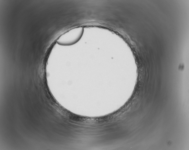X0000116271167201001111008