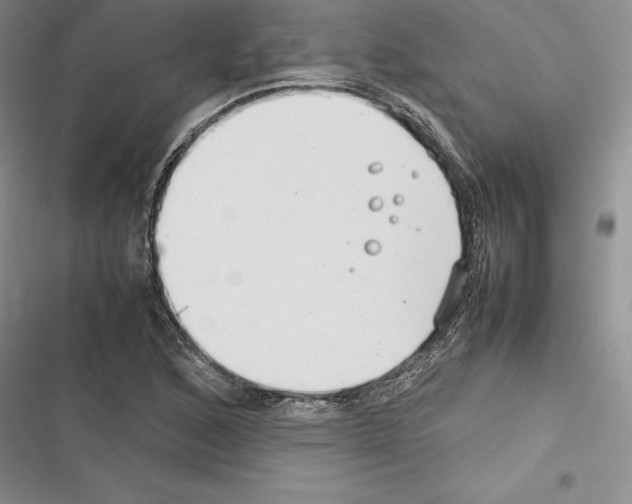 X0000116271168201001111008