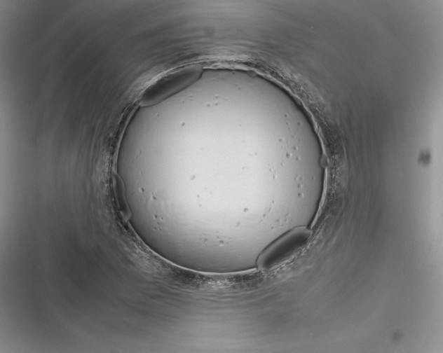 X0000116271169201001111008