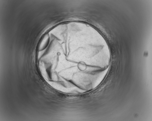 X0000116271173201001111008