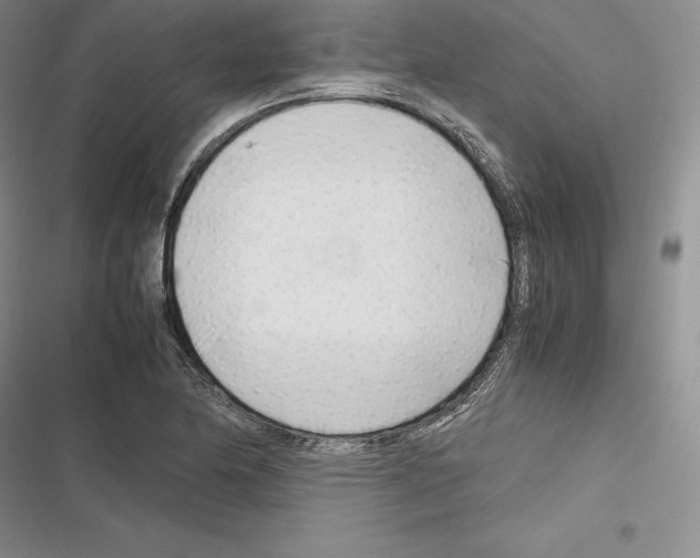 X0000116271174201001111008