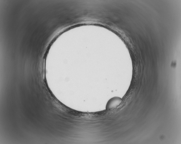 X0000116271175201001111008