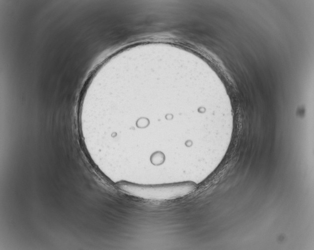 X0000116271176201001111008
