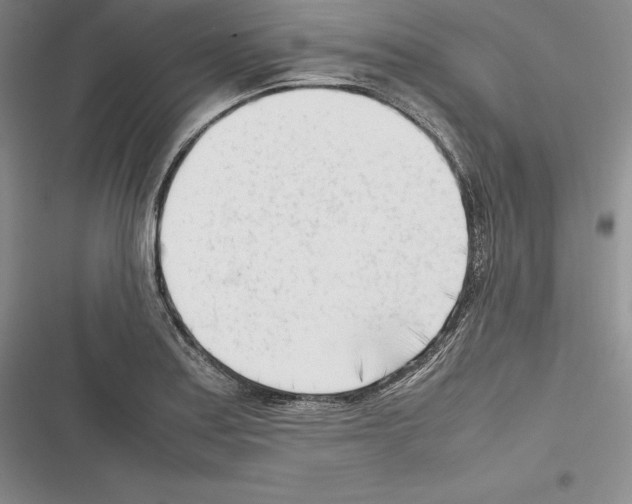 X0000116271179201001111008