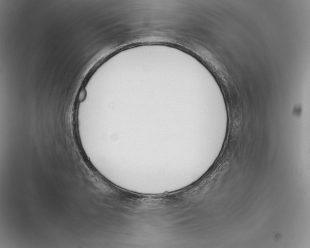 X0000116271181201001111008