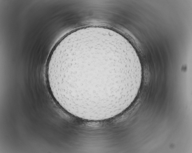X0000116271182201001111008
