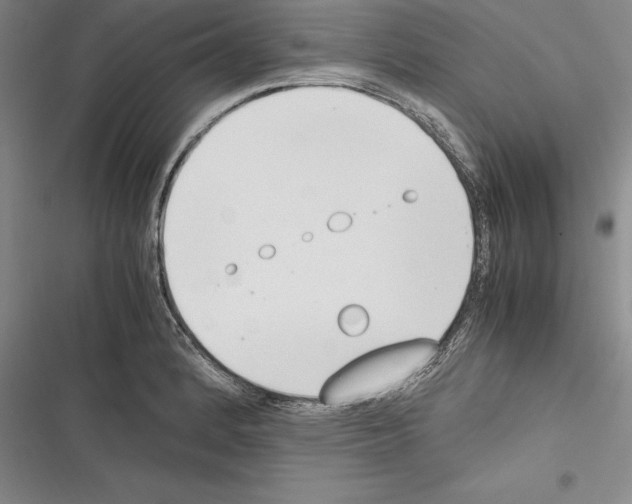 X0000116271184201001111008