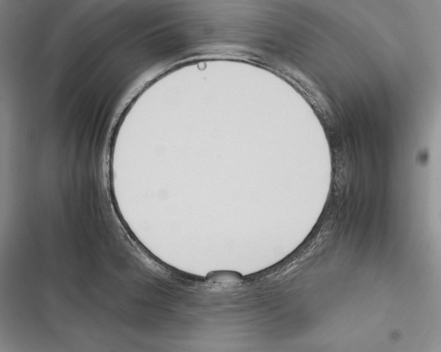 X0000116271188201001111008