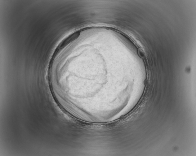 X0000116271189201001111008