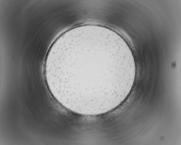 X0000116271190201001111008