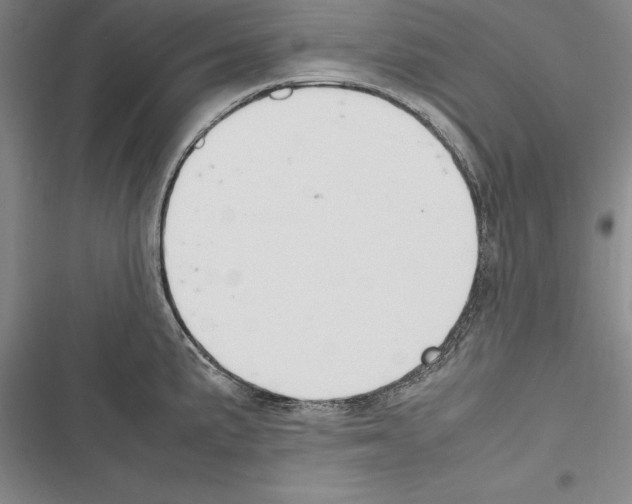 X0000116271191201001111008