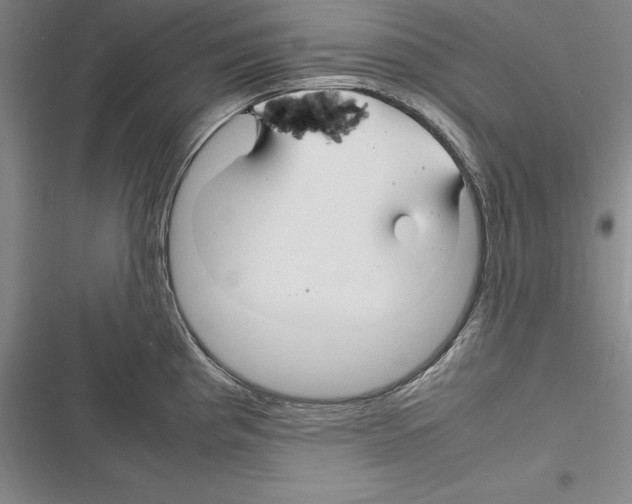 X0000116271193201001111008
