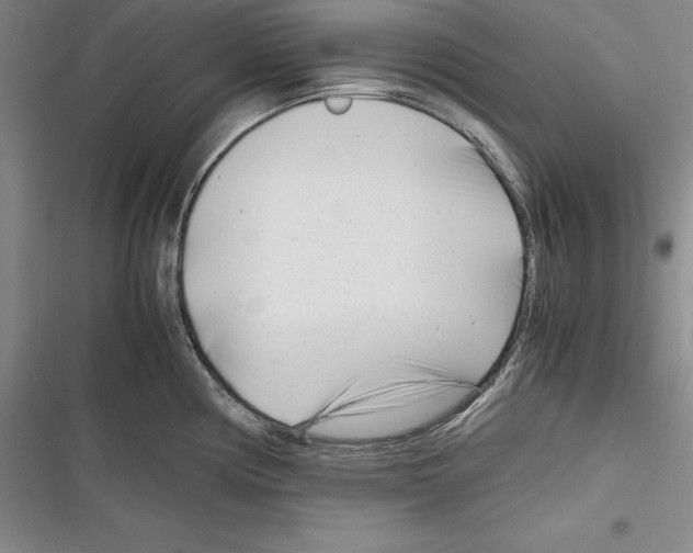 X0000116271194201001111008