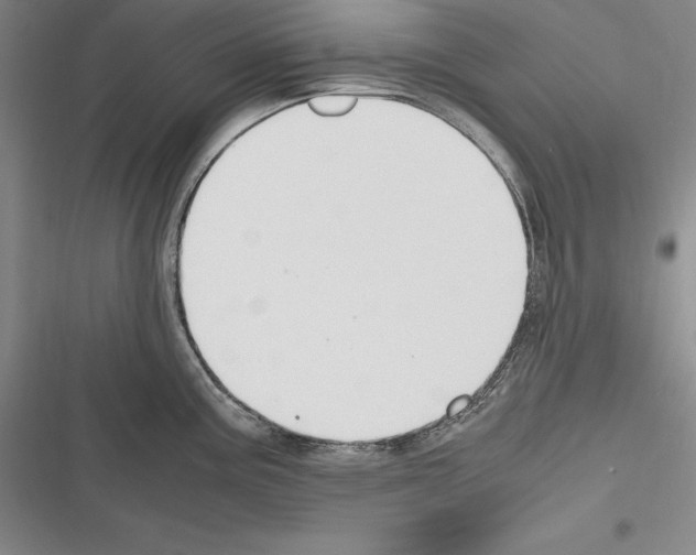 X0000116271195201001111008